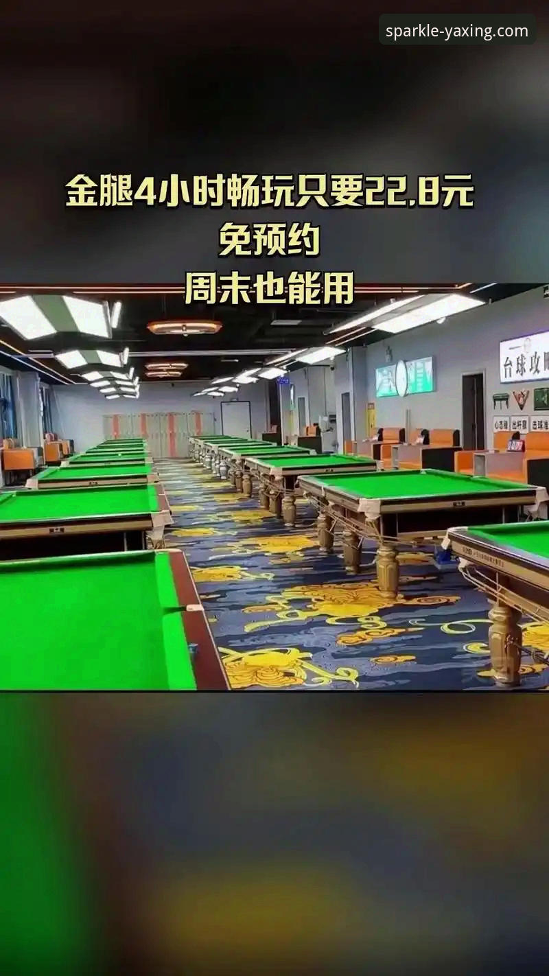 亚星娱乐APP官网使用指南 揭秘亚星娱乐APP官网使用指南:技术评测背后的真相与操作细节